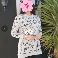 ارزانسرای شاپرک