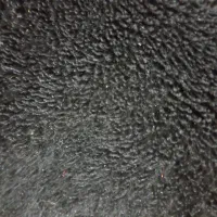 مدارکی گم شده