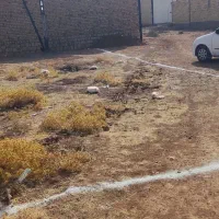 فروش زمین ۱۲۰ متری در شهرک نادی کوچه سوم|فروش زمین و ملک کلنگی|کوهدشت, |دیوار