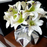 گل با گلدان|گل مصنوعی|برازجان, |دیوار