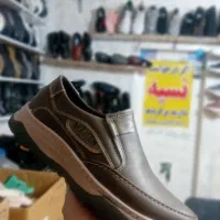 نبوک های اصلی