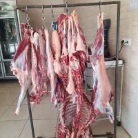 گوشت کهره و بره کشتار روز