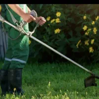 علف تراشی باغ ها با قیمت مناسب