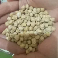 نخود پاک شده