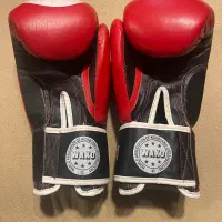 دستکش بکس top ten|تجهیزات ورزشی|تهران, سعادت‌آباد|دیوار