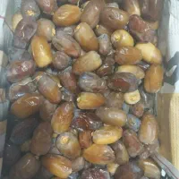 رطب جهرم|خوردنی و آشامیدنی|مرودشت, مختارآباد|دیوار