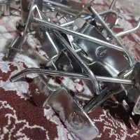 شاخک رگال ۱۰ سانتی قیمت عمده کف بازار