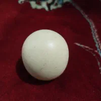 سنگ‌ الماس آسیاب