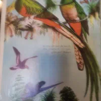 مجلات پیک شادی دهه پنجاه|مجلات|لواسان, |دیوار