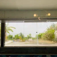 ساحل اختصاصی عمارت فانوس ۱|اجارهٔ کوتاه‌مدت آپارتمان و سوئیت|سرخرود, |دیوار