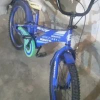 دوچرخه ۲۰ معاوضه باعروس هلندی سخنگو