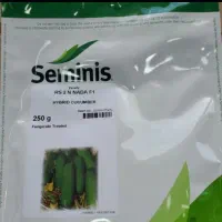بذر خیار 2N تعداد محدود