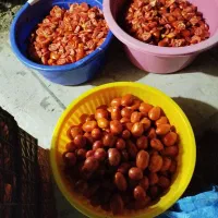 گوجه فرنگی ربی|خوردنی و آشامیدنی|کرج, ملک‌آباد|دیوار