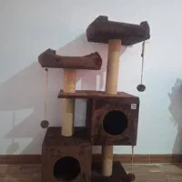 کلبه درختی گربه