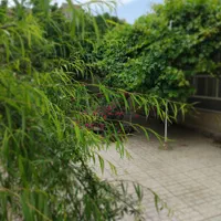 روزانه/ هفتگی/ماهانه ویلایی ۲۰۰ متری نزدیک باغ ملی|اجارهٔ کوتاه‌مدت آپارتمان و سوئیت|نیشابور, شریعتی|دیوار