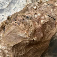 سنگ عقیق باباقوری سلیمانی