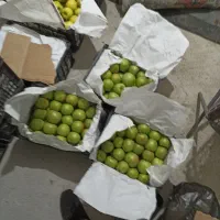 فروش سیب و گلابی|خوردنی و آشامیدنی|خواجه, |دیوار