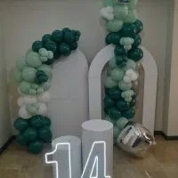 فروش بکگراند
