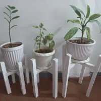 پایه گل وگلدان