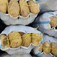 گوج و پیاز|خوردنی و آشامیدنی|حسین آباد, |دیوار