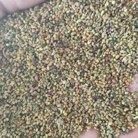 بذر یونجه .شبدر سبز .خشه یونجه.