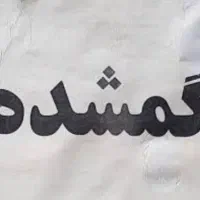 گردنبد طلا گمشده اسم