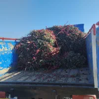 حمل نقل بار با ایسوزو اثاث کشی جابه جایی|خدمات حمل و نقل|مسجد سلیمان, |دیوار