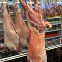 گوشت چرخ کرده گوسفند کبابی