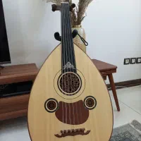 عود حرفه ای