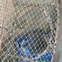 قفس|لوازم جانبی حیوانات|بوشهر, |دیوار