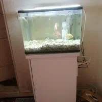 آکواریوم شیشه خم با میز مربوطه