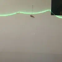 ریسه گیمنگ مولی کالر|ریسه و چراغ تزئینی|دهلران, |دیوار