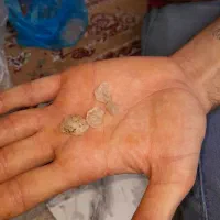 سنگ|کلکسیون اشیاء عتیقه|رشت, استقامت ۲|دیوار