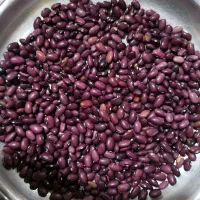 لوبیاقرمز درجه یک|عمده‌فروشی|پادنا, |دیوار