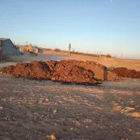 سلام کود گوسفند همان پهن|لوازم جانبی حیوانات|ترکمانچای, |دیوار