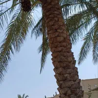 اجاره منزل مسکونی بروات