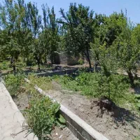 چهاردیواری-کوهسار-خیابان-سرو