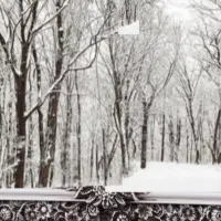 تابلو فرش با قاب در حد نو تخفیف به خریدار واقعی