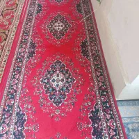 قالی