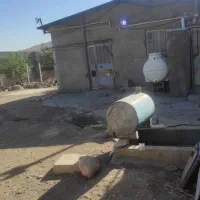 دامداری در مجتمع دامداران پریوه هرسین