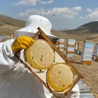 عسل خالص و بی نظیر روستای توریستی کندوان تبریز