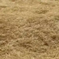 فروش ۵۵ تن کاه گندم، نرم و ریز