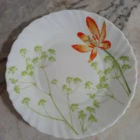 ظروف پذیرایی وآکروپال|ظروف سرو و پذیرایی|ساوه, |دیوار