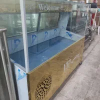 یخچال ویترینی خوابیده مکعبی یخچال استیل