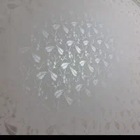 نقاشی ساختمان وطرح کاغذ دیواری ونصب کاغذ دیواری