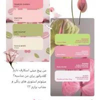 طراحی  بصری استوری ، ادیت عکس و ویدئو