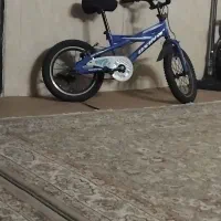 دوچرخه سالم