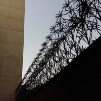 حفاظ شاخ گوزنی سرنیزه رودیواری پنجره ای اکاردئون
