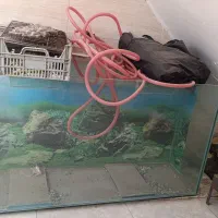 آکواریوم