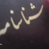 گمشده شناسنامه وکارت بهداشت صدرارستمی فرد